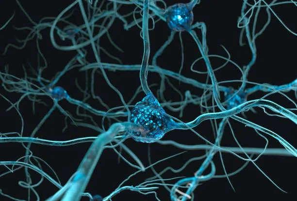 Neurology consultation and care